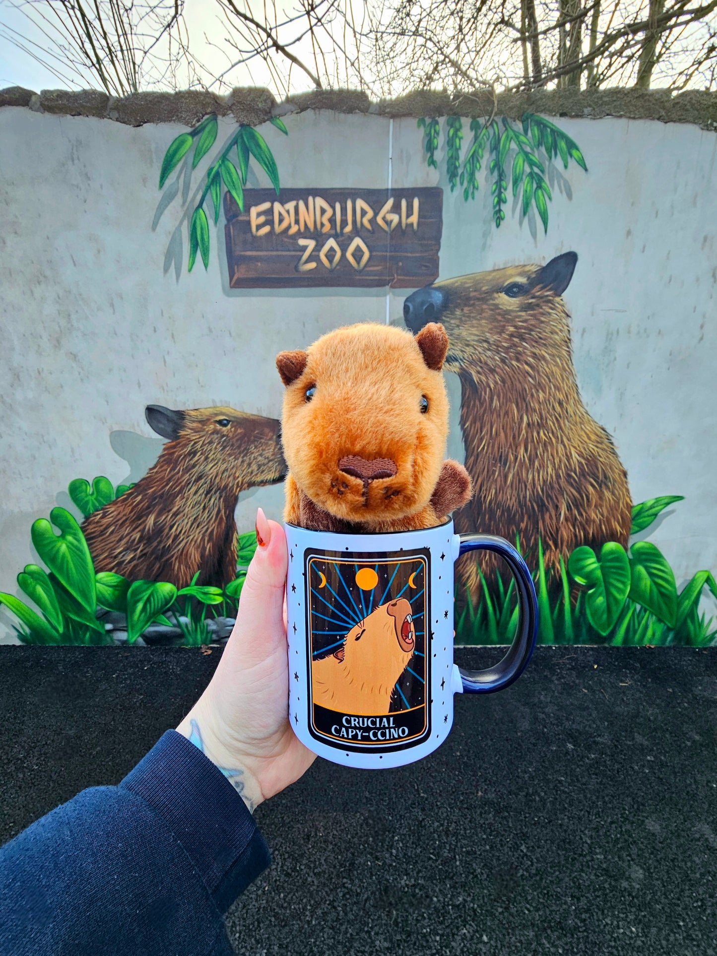 Capybara Mug