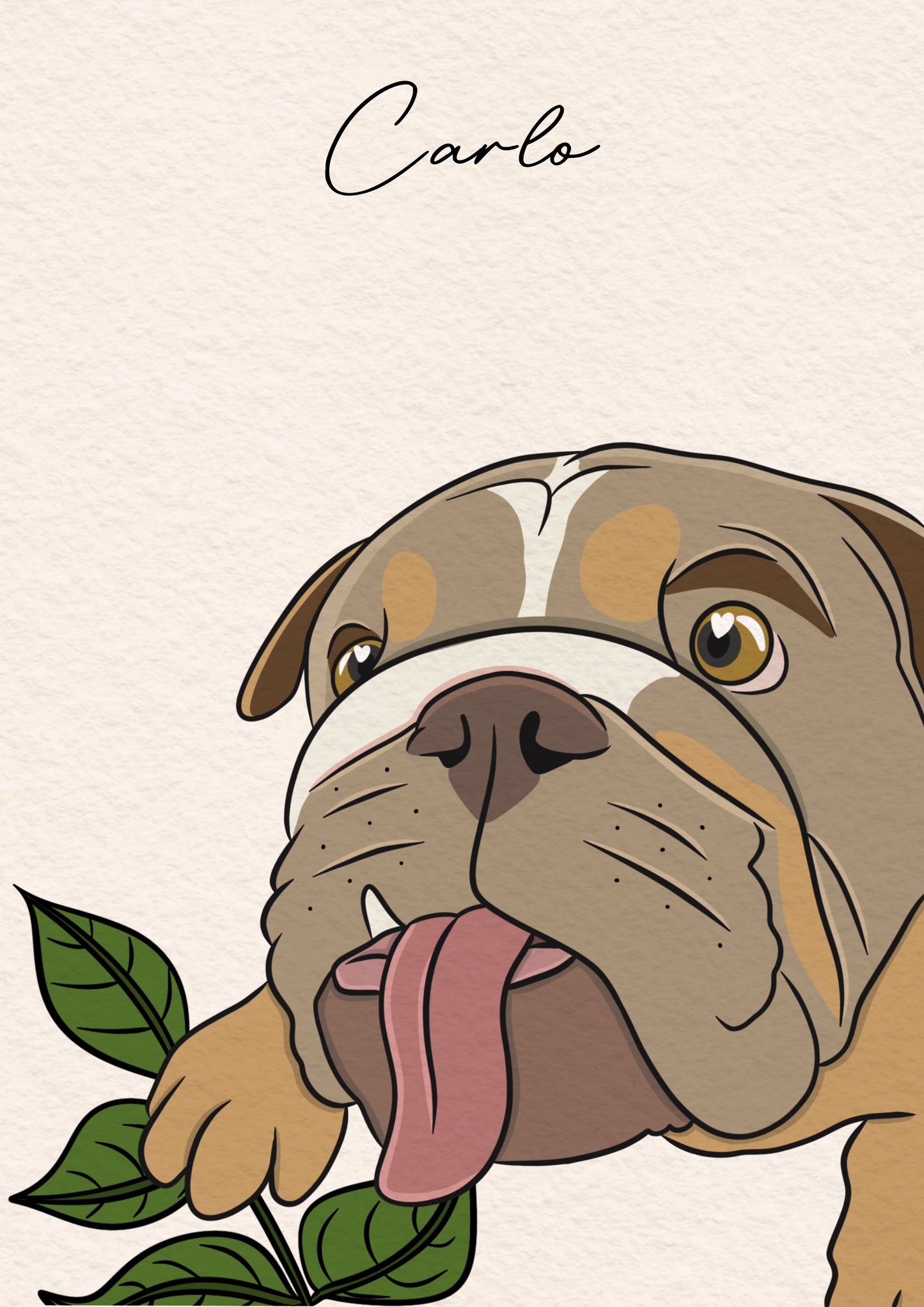 Personal Colour Pet Portrait