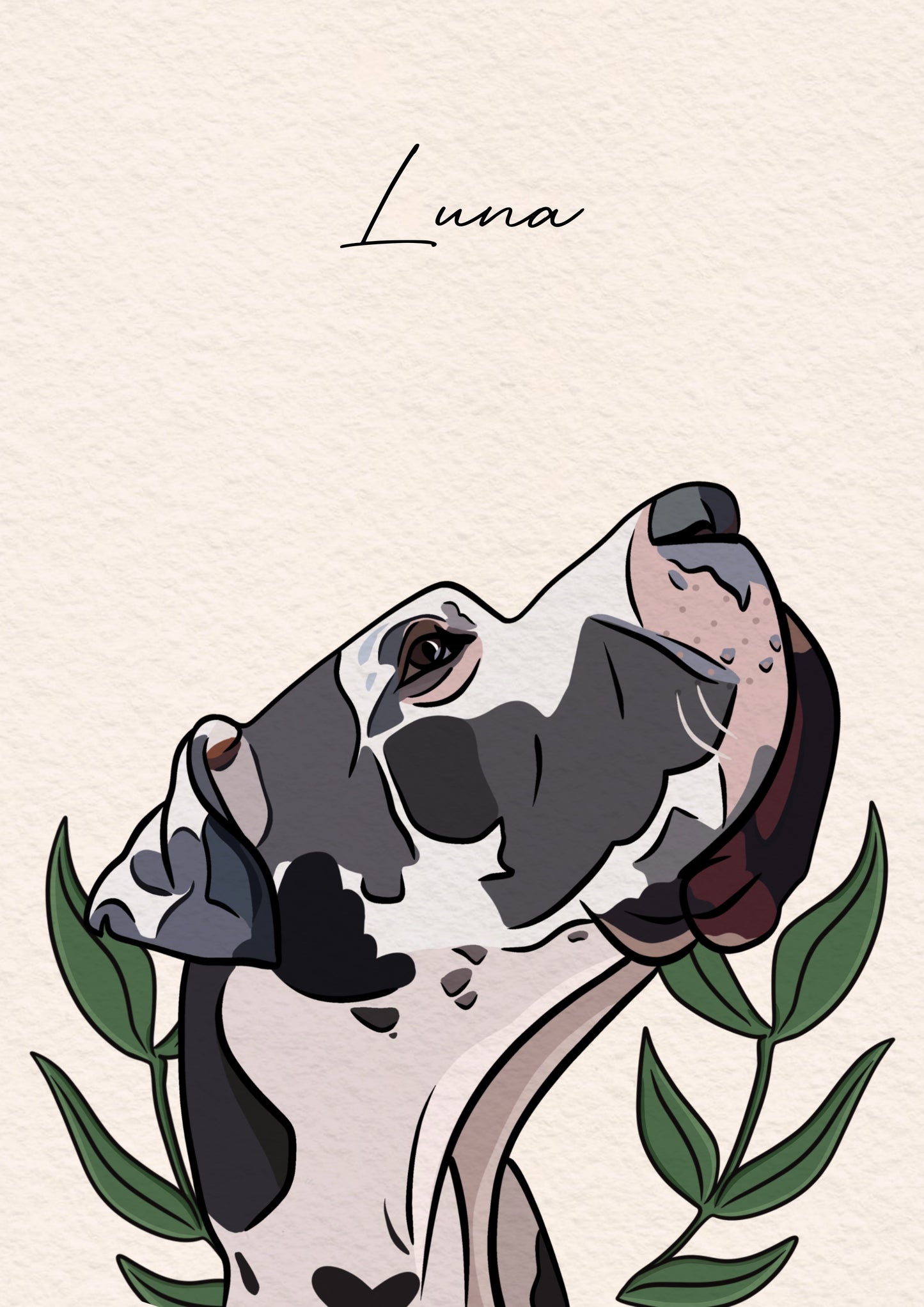 Personal Colour Pet Portrait