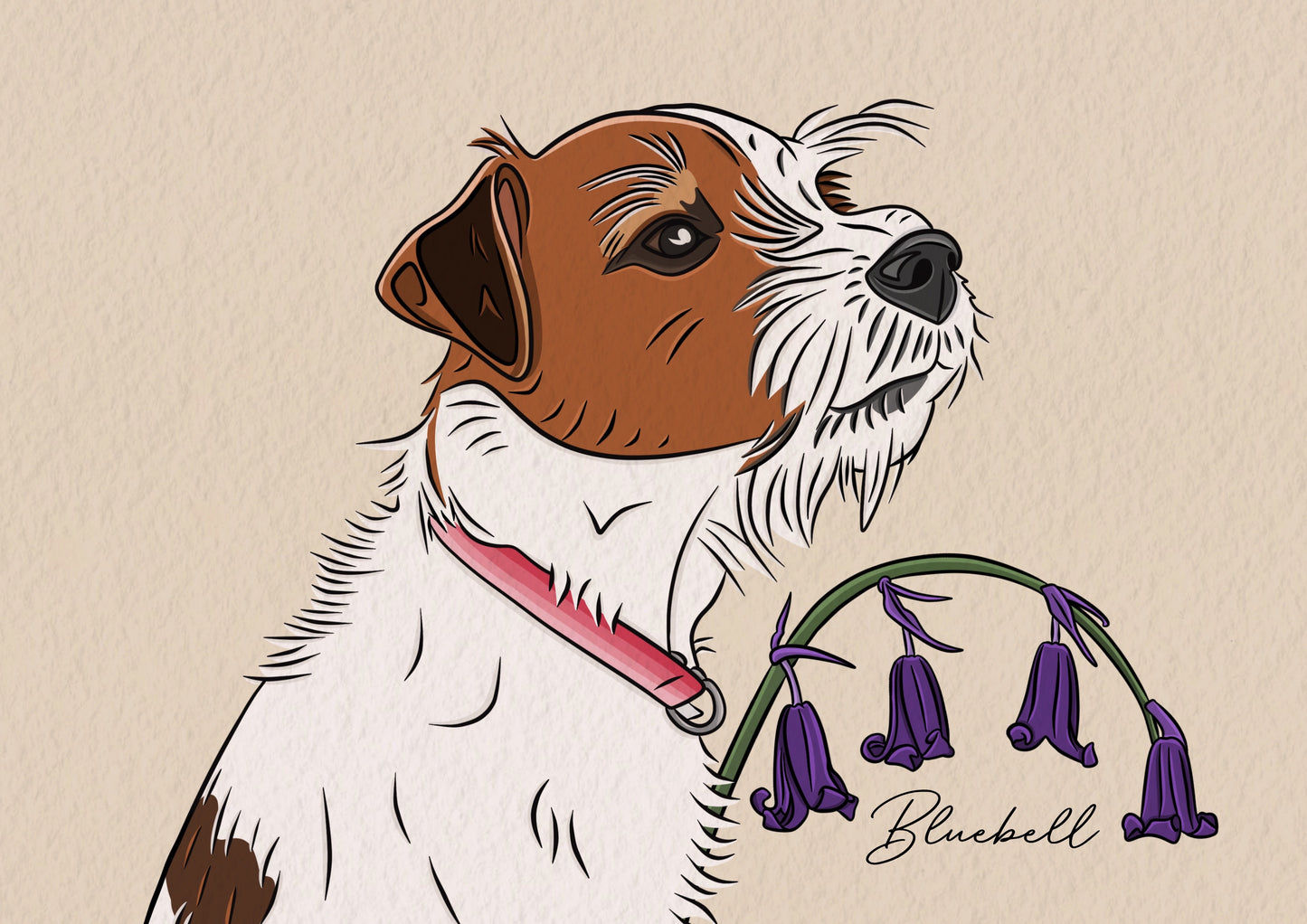 Personal Colour Pet Portrait